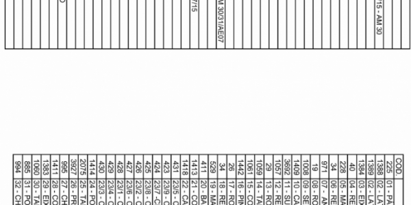 MASSEIRA BASCULANTE MBI05,MBI25,MBI40