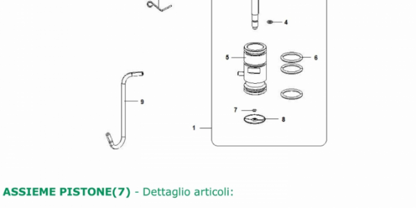 CAFETEIRA BIANCHI SPRINT - ASSIEME PISTONE